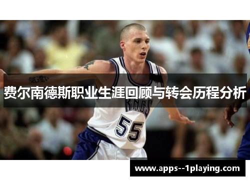 费尔南德斯职业生涯回顾与转会历程分析